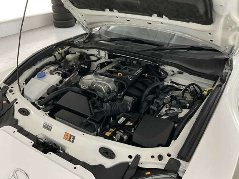 ROADSTER RF