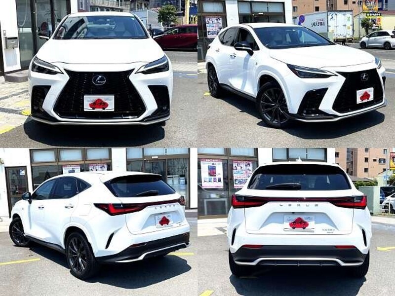 NX