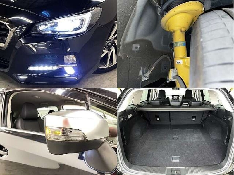 LEVORG