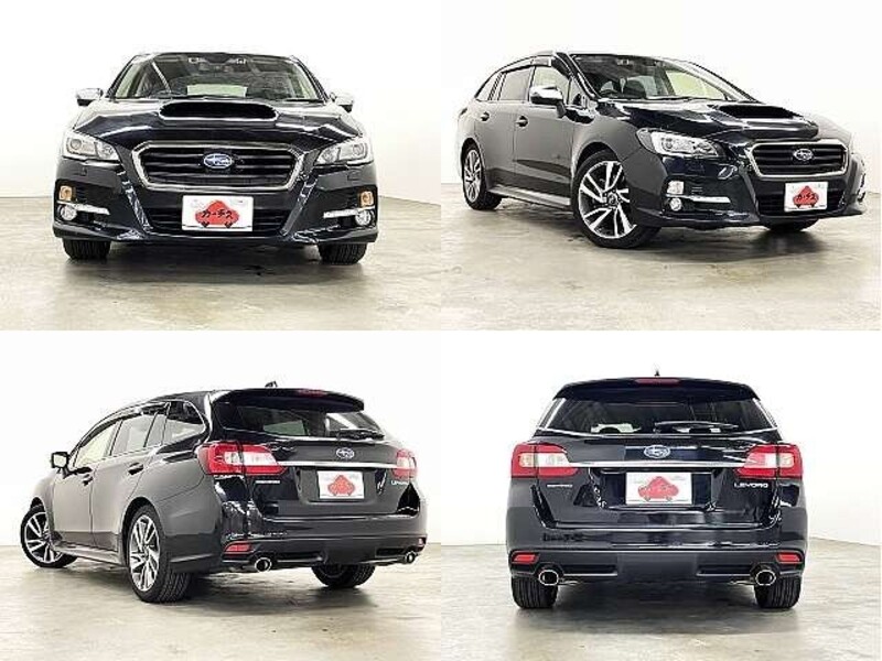 LEVORG