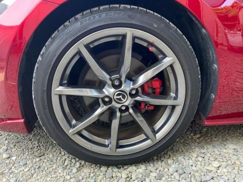 ROADSTER RF
