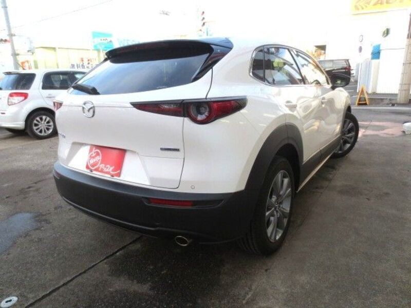 CX-30