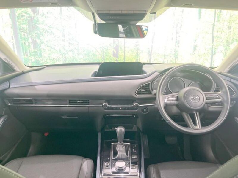 CX-30