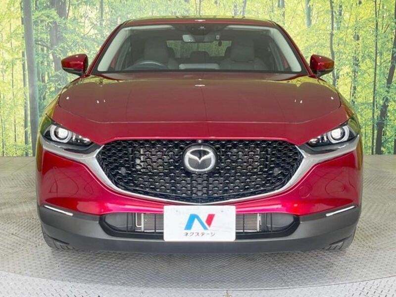 CX-30
