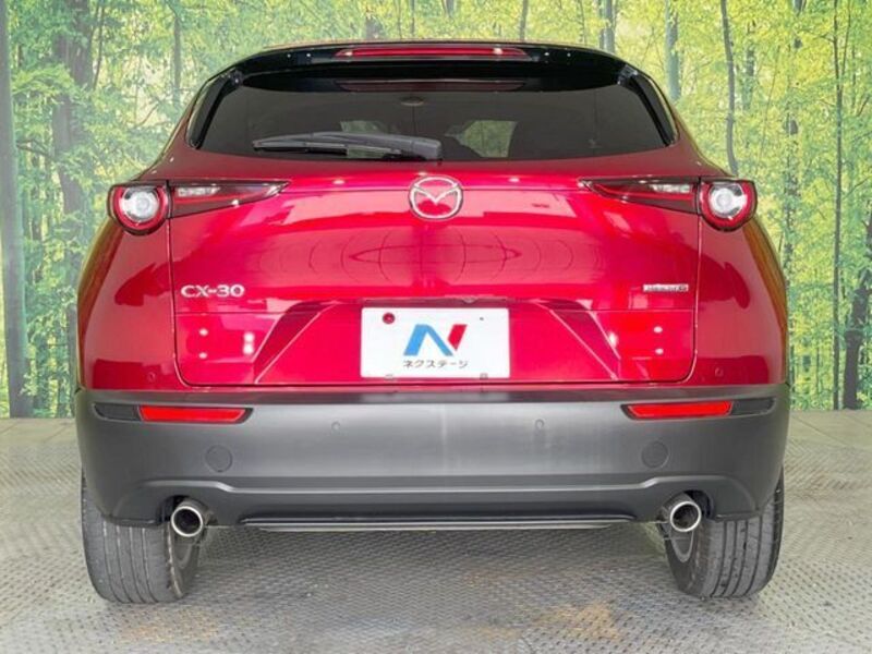 CX-30