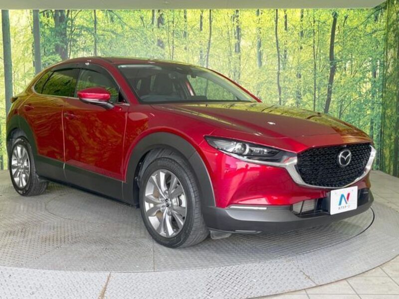 CX-30