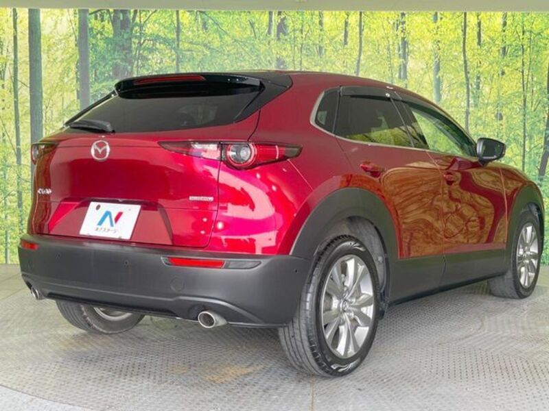 CX-30