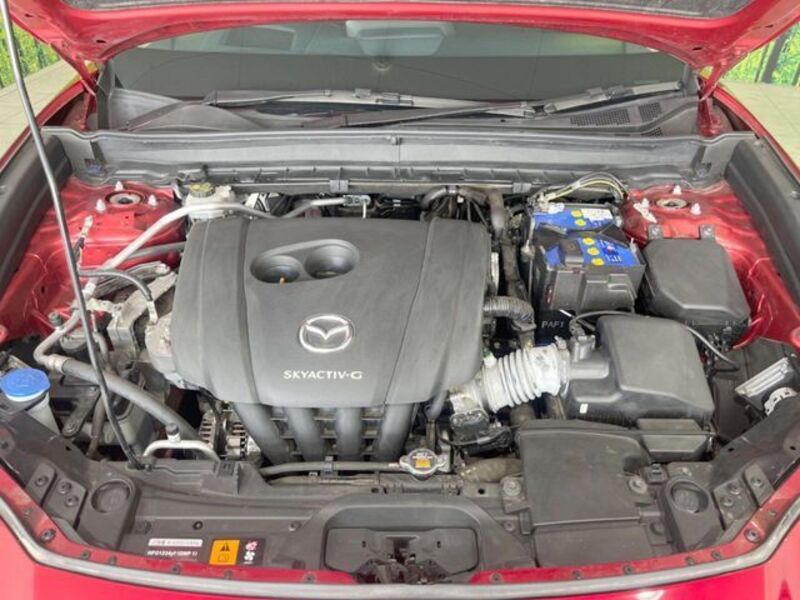 CX-30
