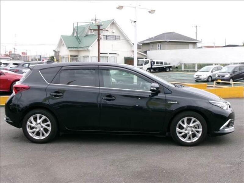 AURIS