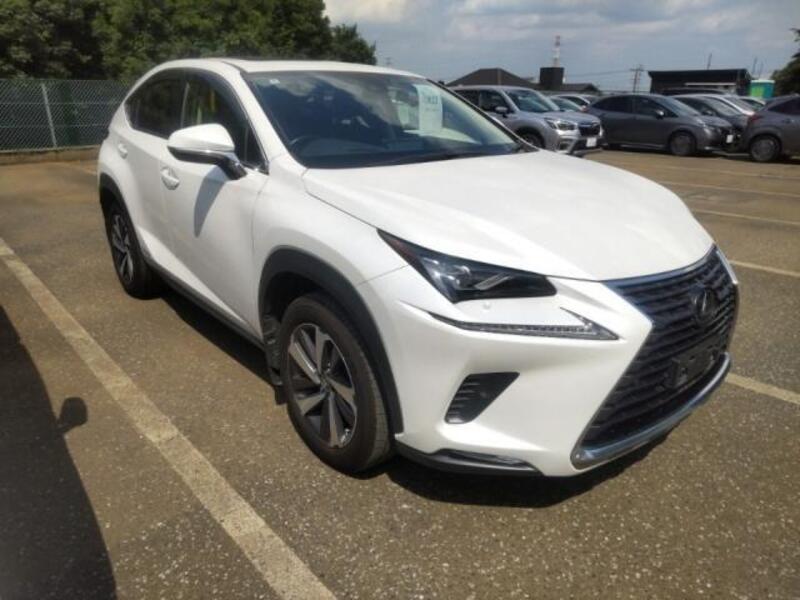NX