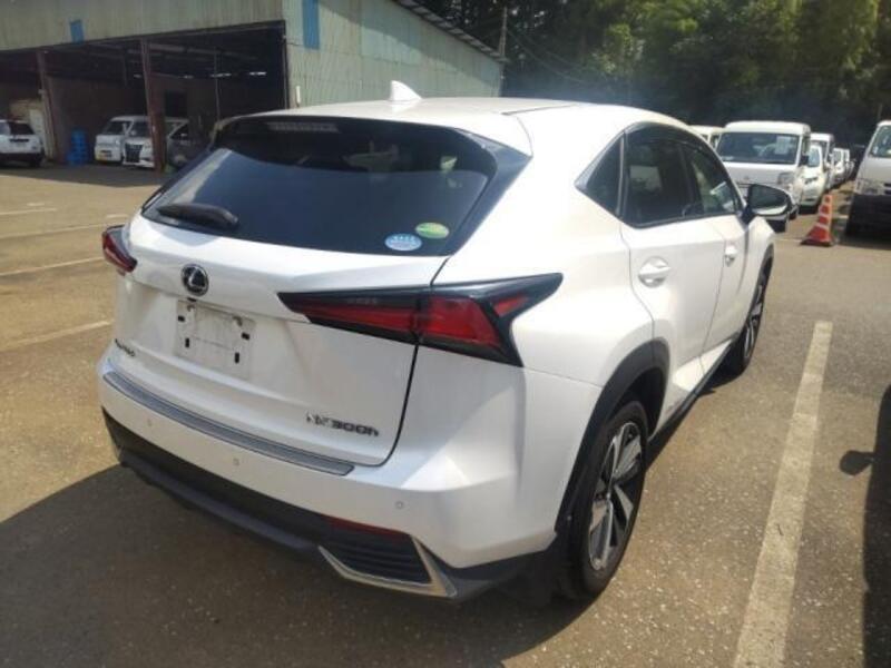 NX