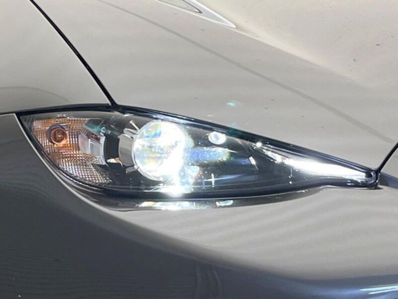 ROADSTER RF