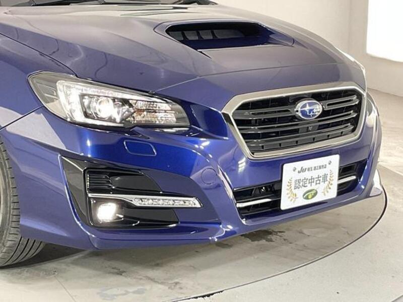 LEVORG