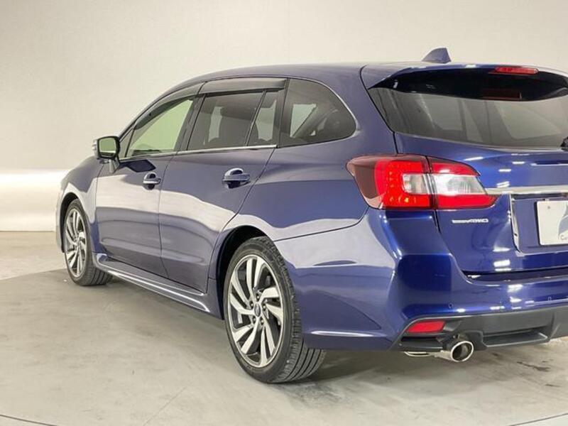 LEVORG