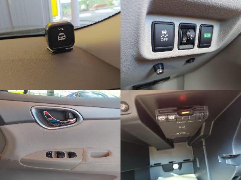 BLUEBIRD SYLPHY