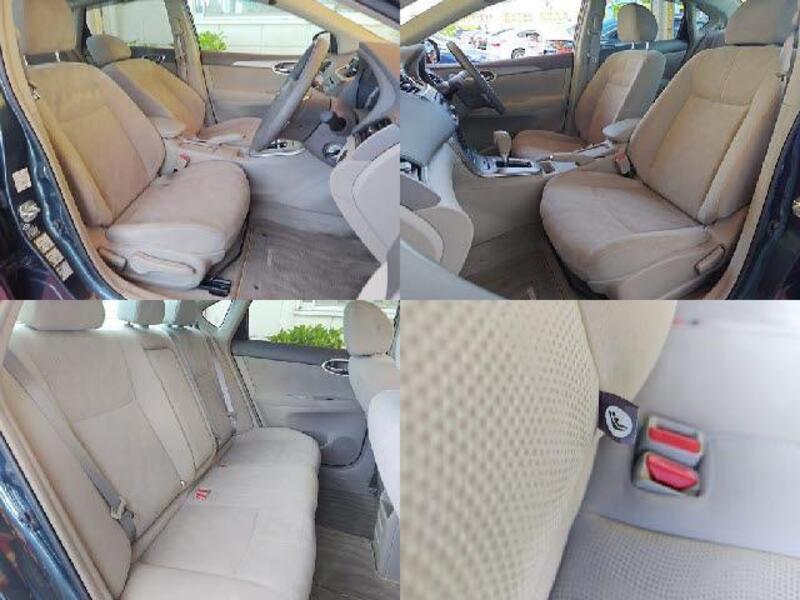 BLUEBIRD SYLPHY