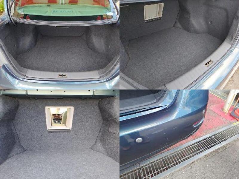 BLUEBIRD SYLPHY
