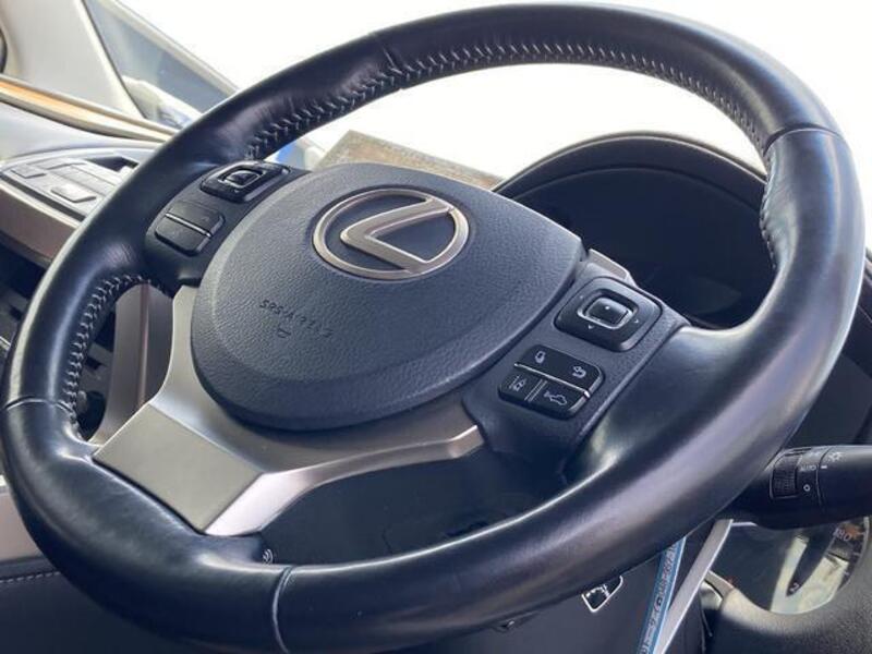 NX