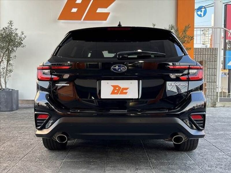 LEVORG