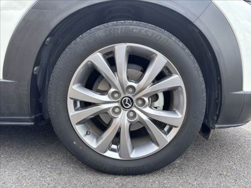 CX-30