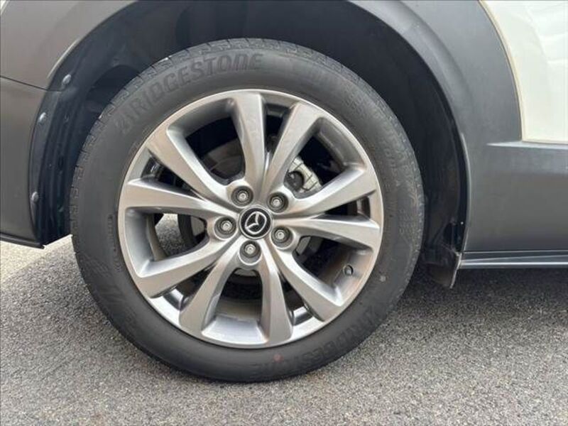 CX-30
