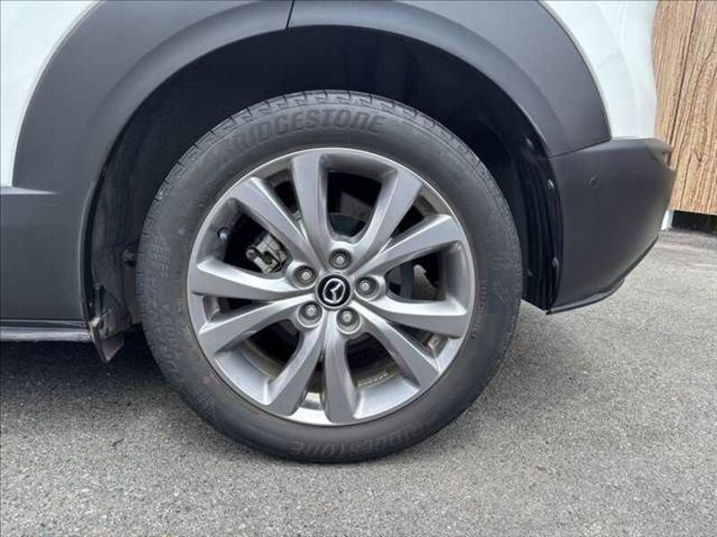 CX-30