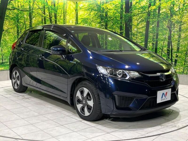 FIT HYBRID