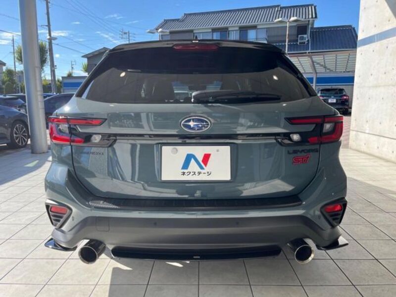 LEVORG