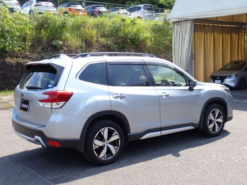 FORESTER