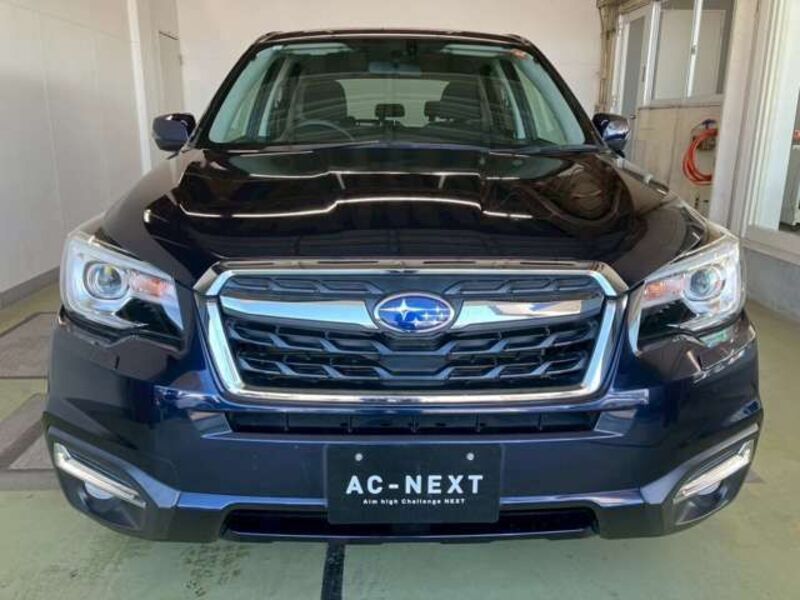 FORESTER
