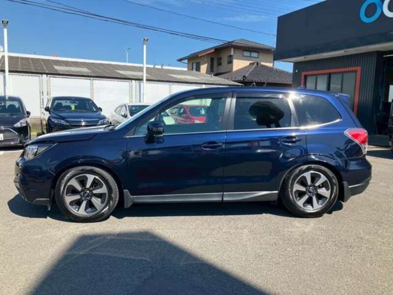FORESTER