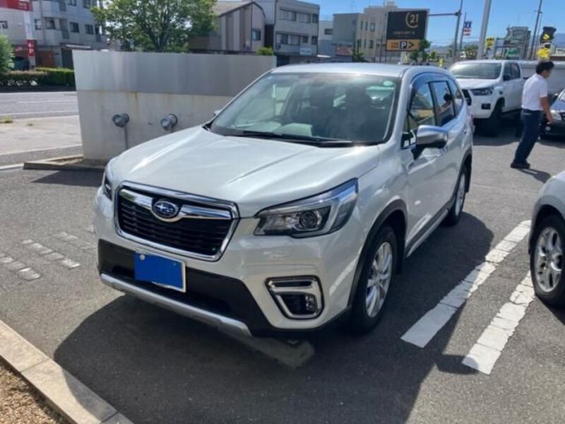 FORESTER