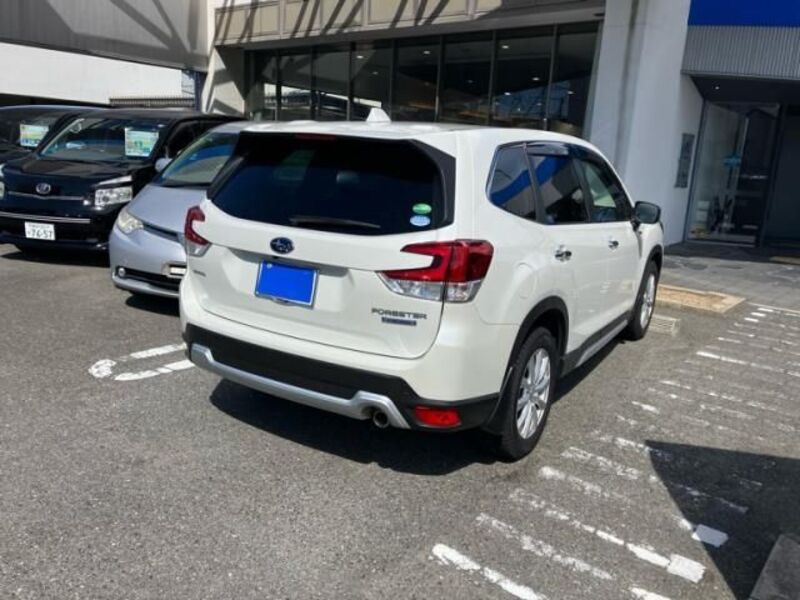 FORESTER