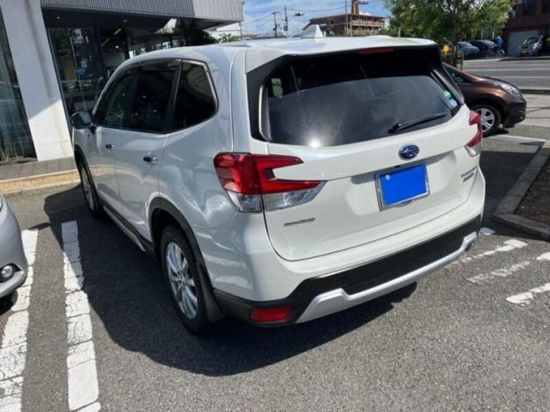FORESTER