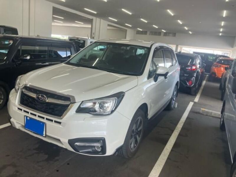 FORESTER