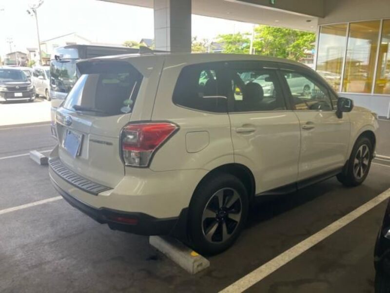 FORESTER