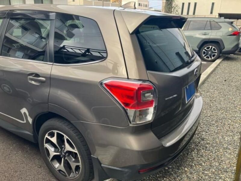 FORESTER