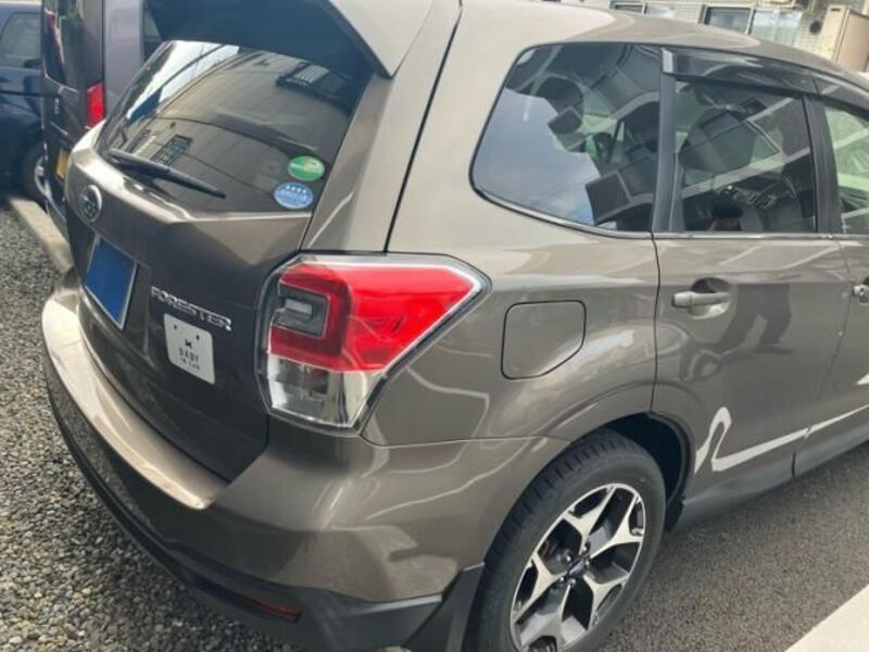 FORESTER