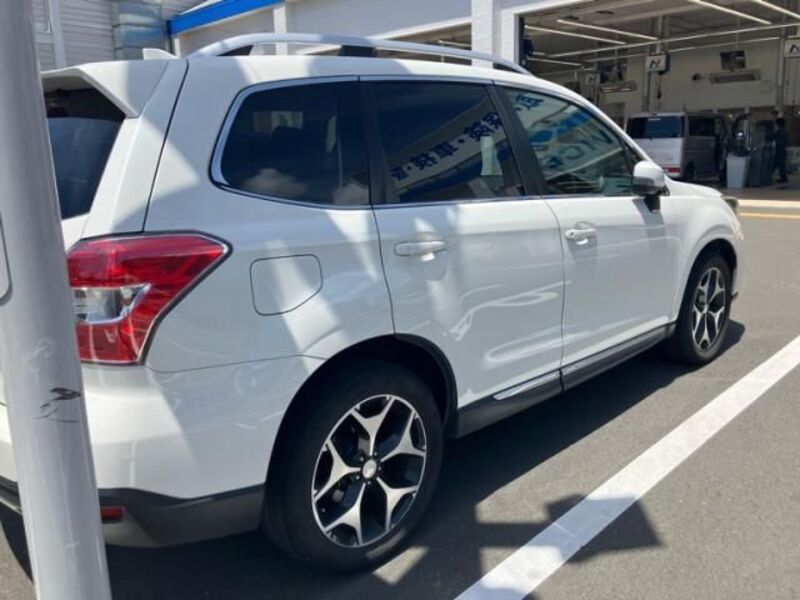 FORESTER