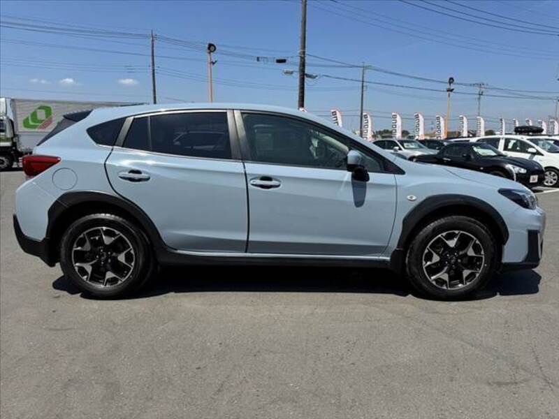 XV