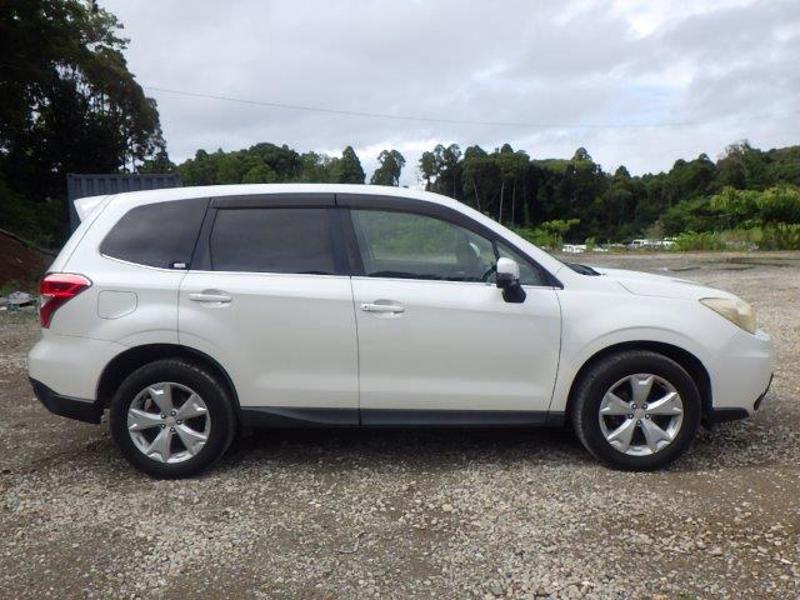 FORESTER