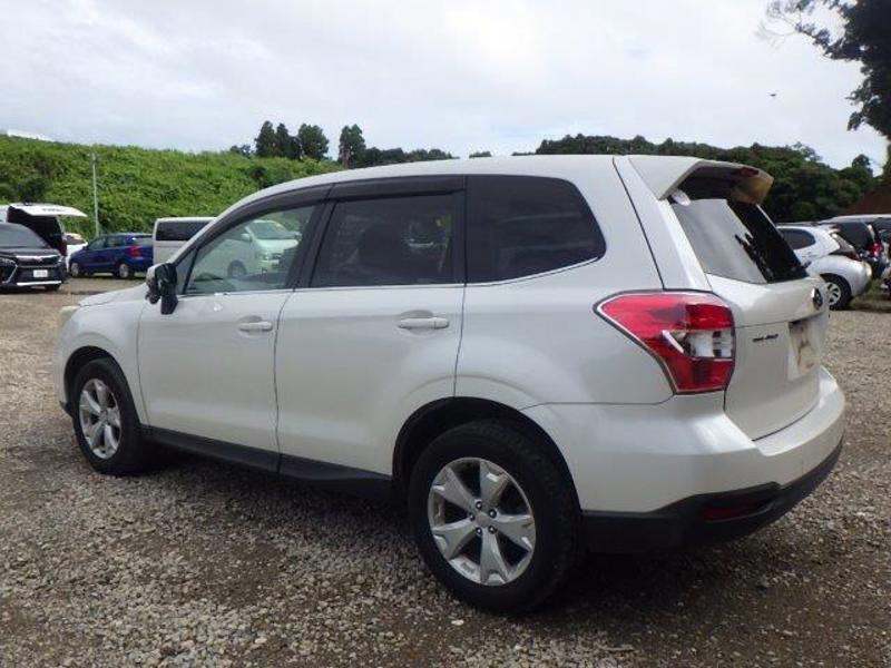 FORESTER