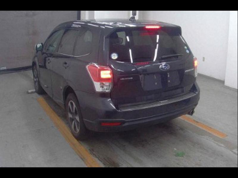 FORESTER