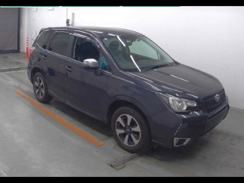 FORESTER