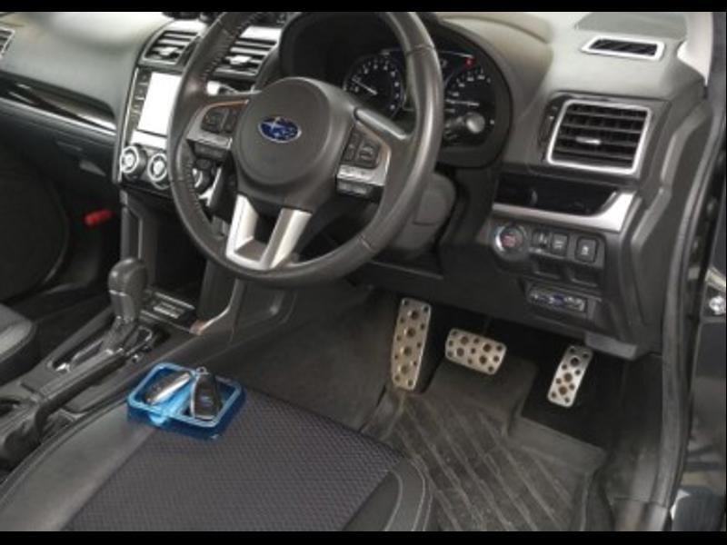 FORESTER