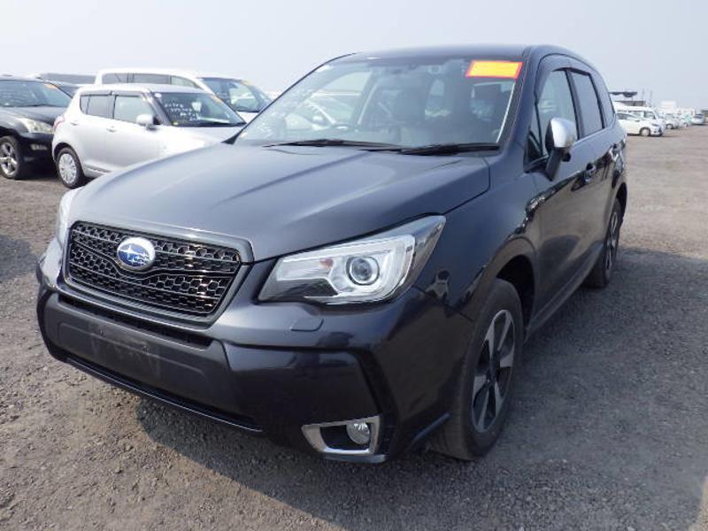 FORESTER