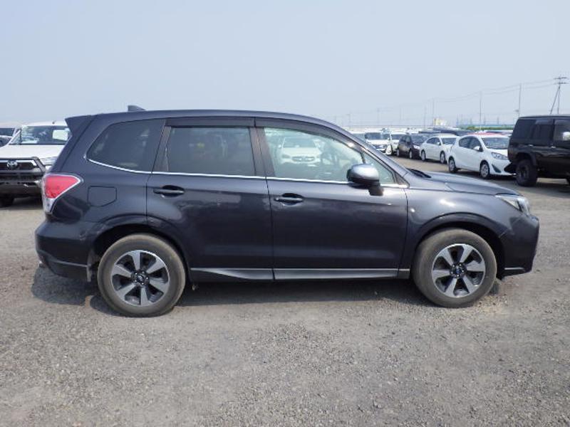 FORESTER