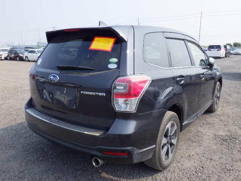 FORESTER