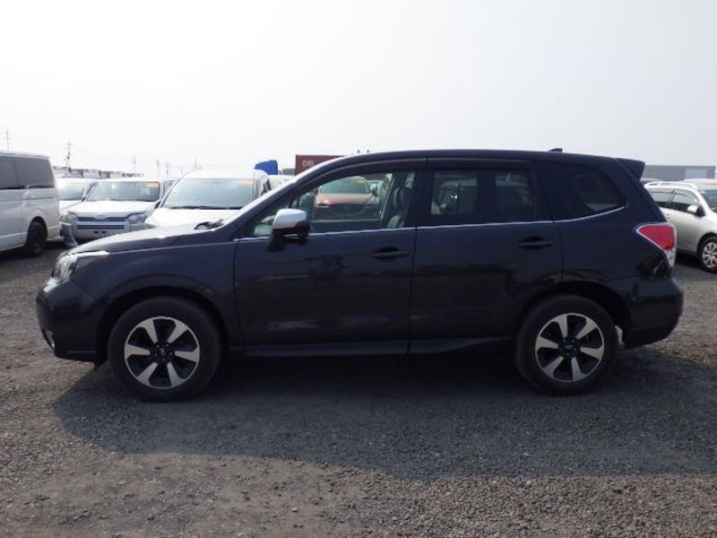 FORESTER