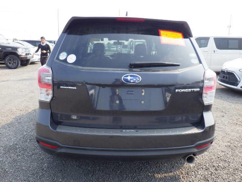 FORESTER